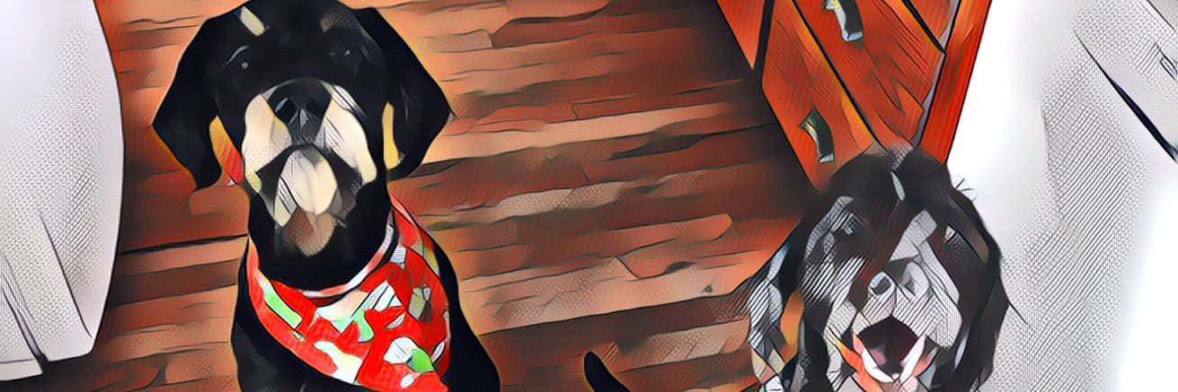lhellwege's profile banner image