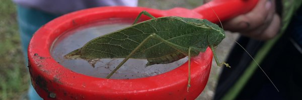 AugermanM Profile Banner