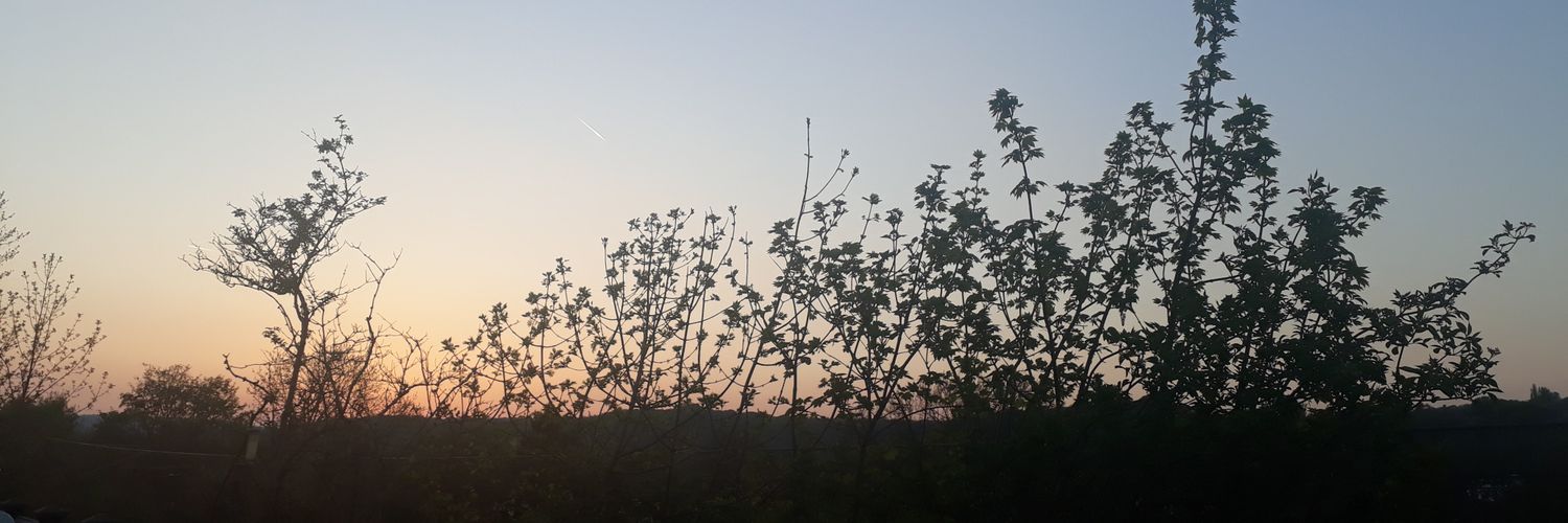 Kay_marsden20's profile banner image