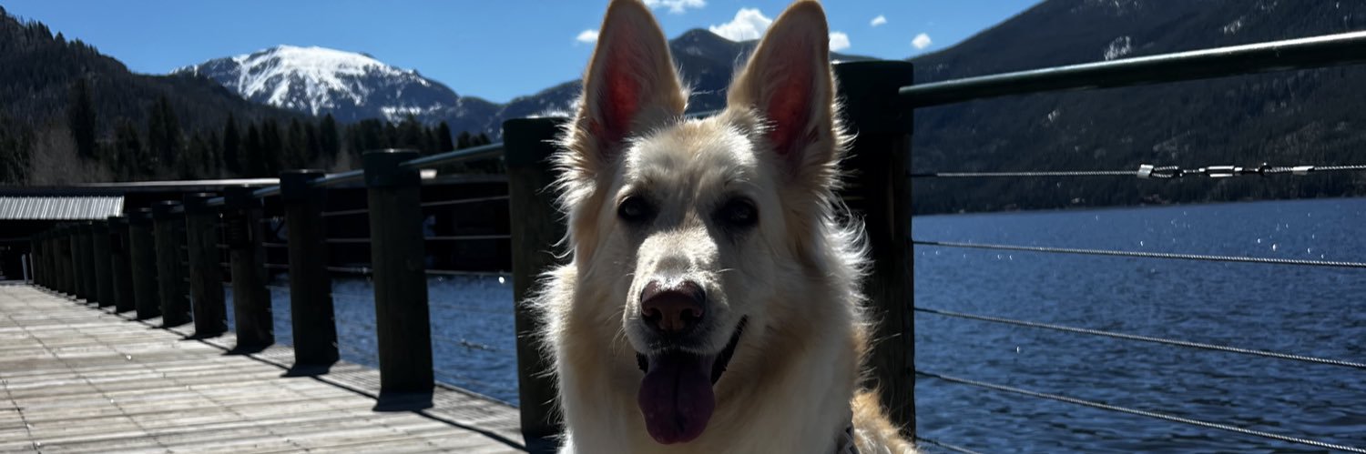brinleyteague's profile banner image