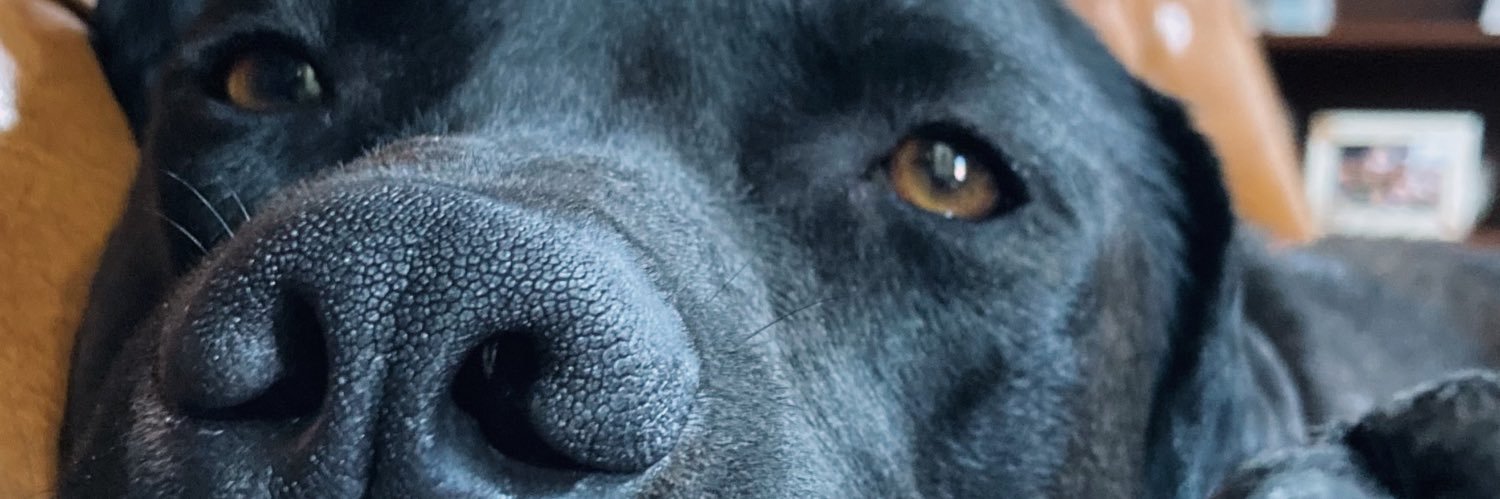 Luucialonso_'s profile banner image