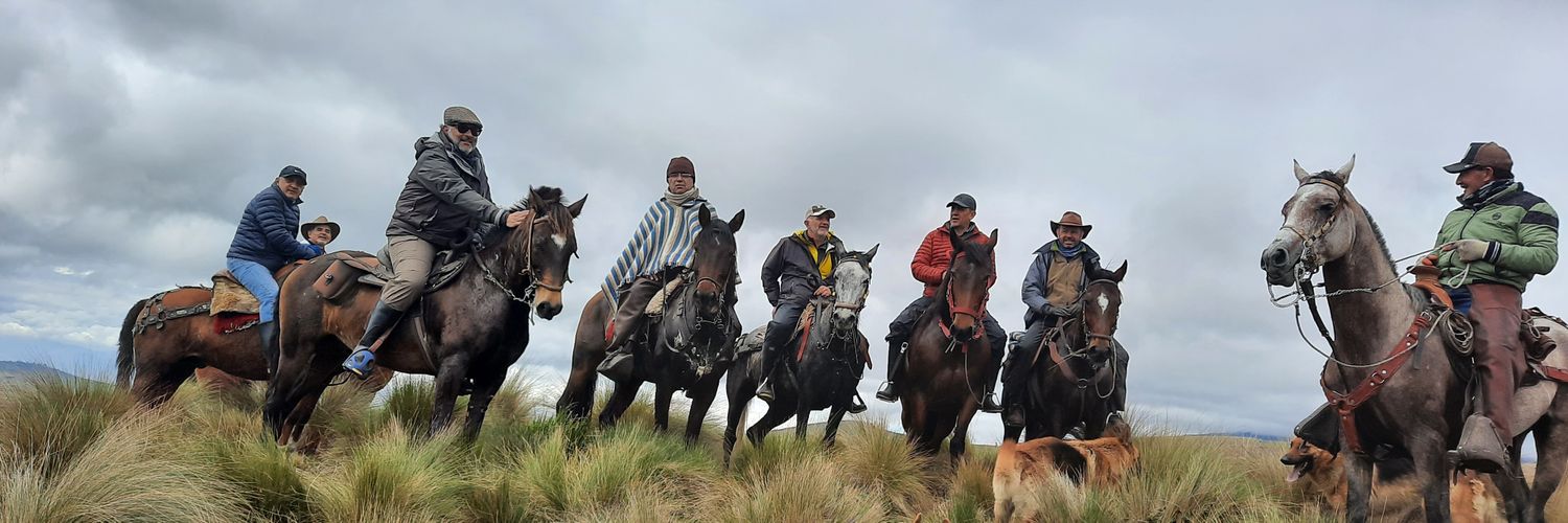 Diego Andrade Freile. banner