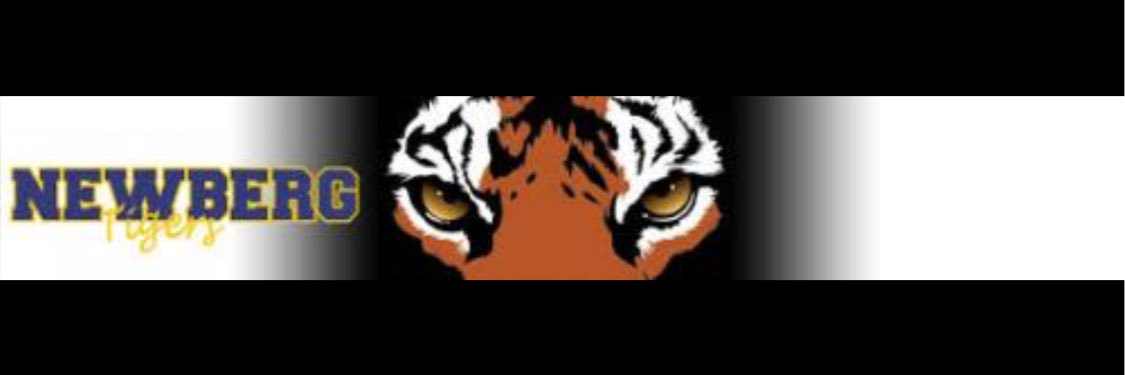 NHS_Sotball's profile banner image
