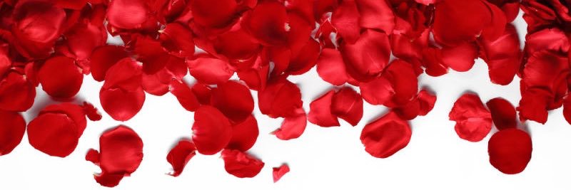 LiLo_Again's profile banner image