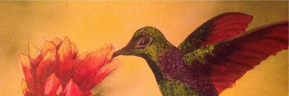 Deborah Partsch banner