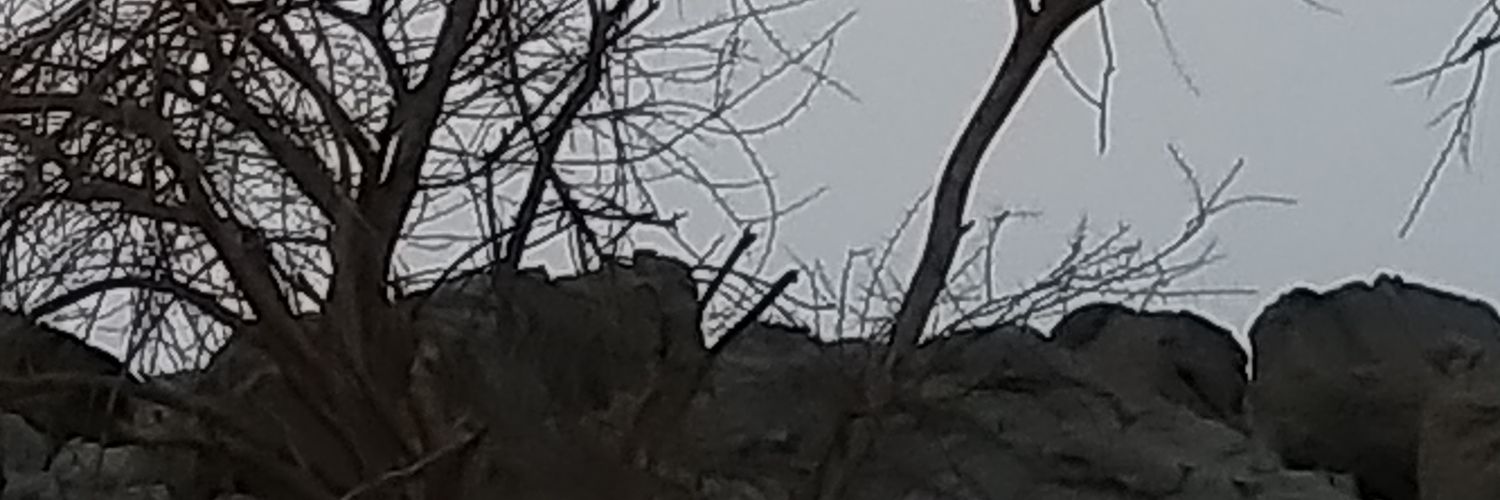 rogiz7's profile banner image