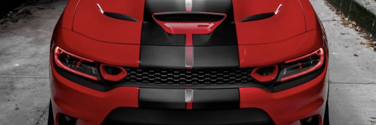 Wayne96771's profile banner image