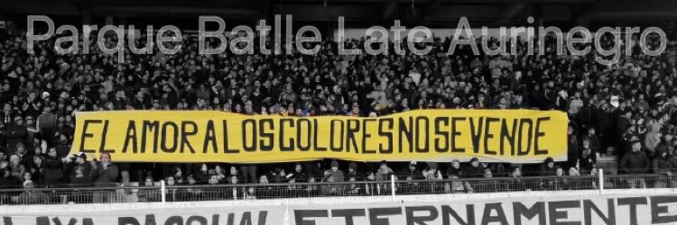 P_BatlleCap's profile banner image
