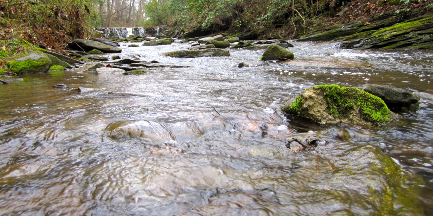 Zachary Dunkle banner