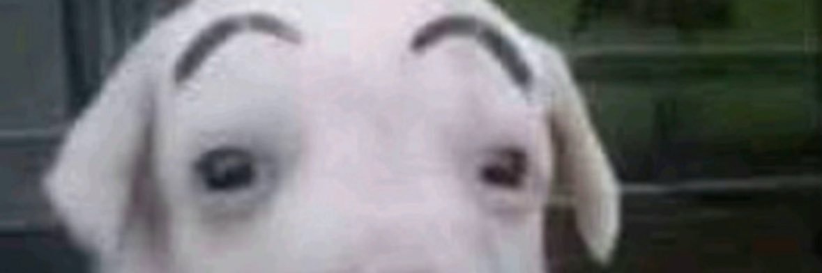 captain maximum banner