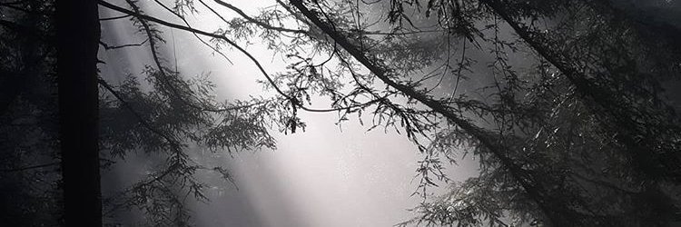 ntxtthomas's profile banner image