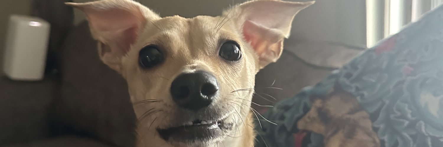 poopylex's profile banner image