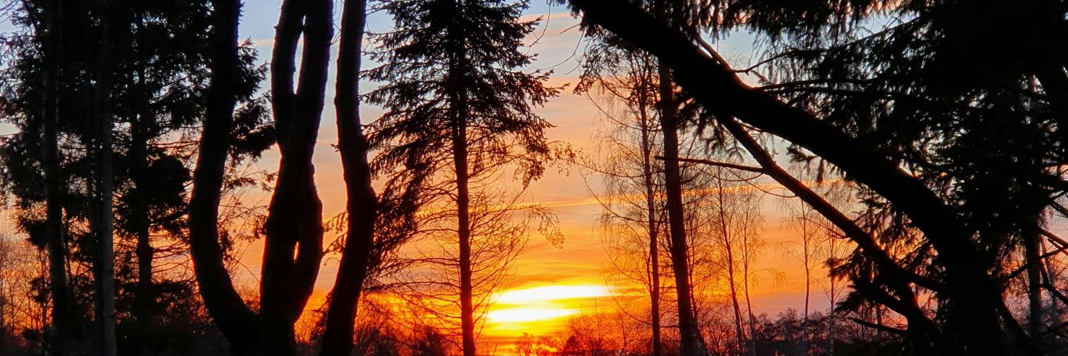 theavanipatel's profile banner image