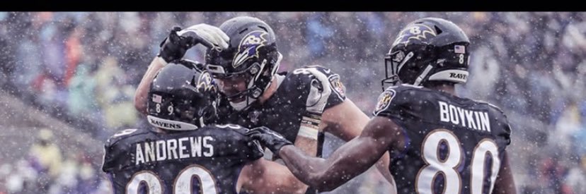 Reese_Shreve's profile banner image