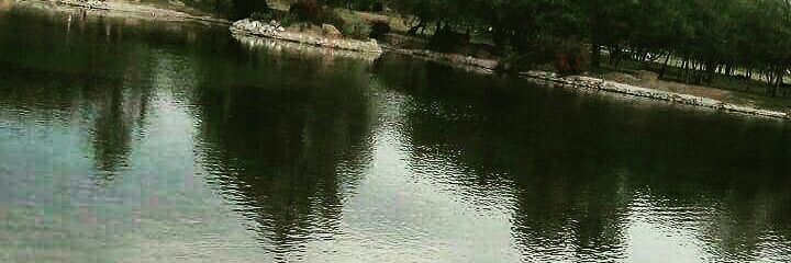 ale1gonzalez_'s profile banner image