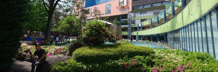 sosittiarado's profile banner image