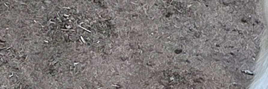 Hot_coco15's profile banner image