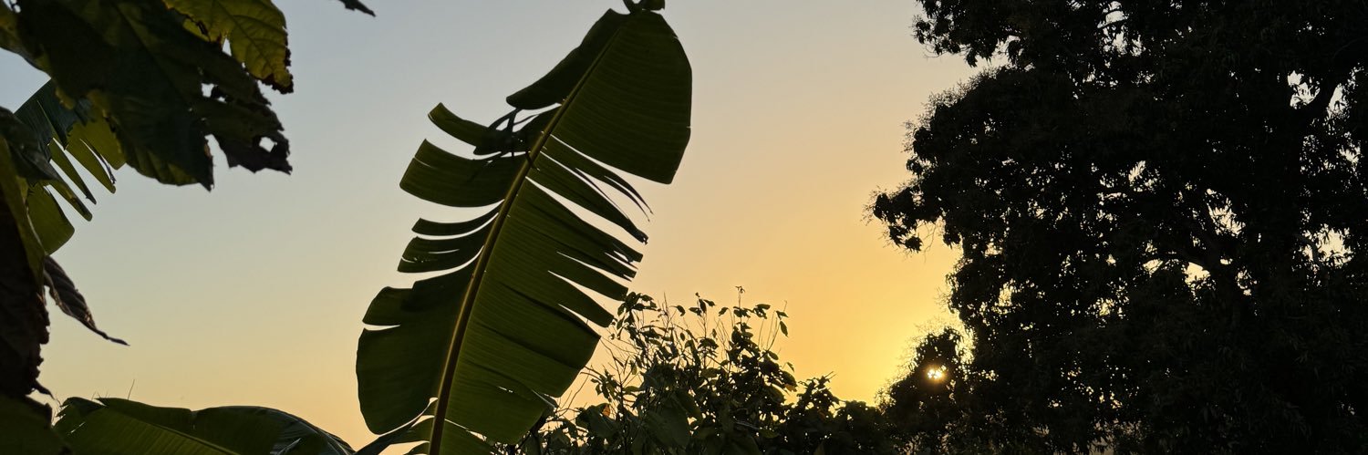 kiannamoris's profile banner image