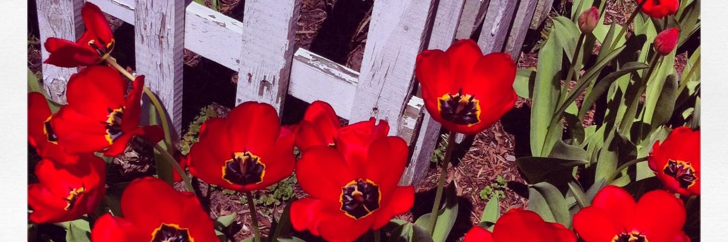KCinthatNublack's profile banner image