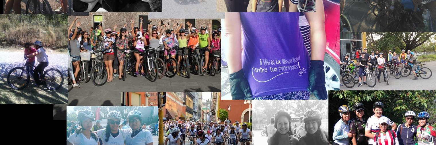 intrepidasmx's profile banner image