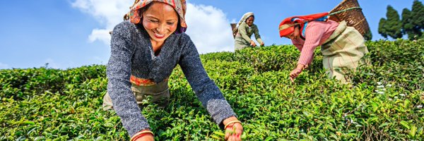 CadastaOrg Profile Banner