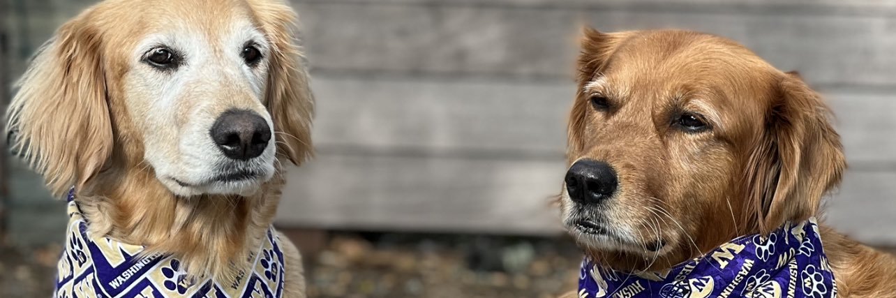 AnnaRTemple's profile banner image