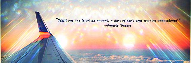 RA_IMAGES's profile banner image