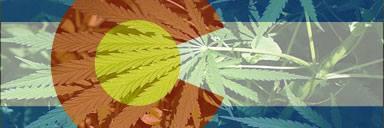 Directory420.com banner