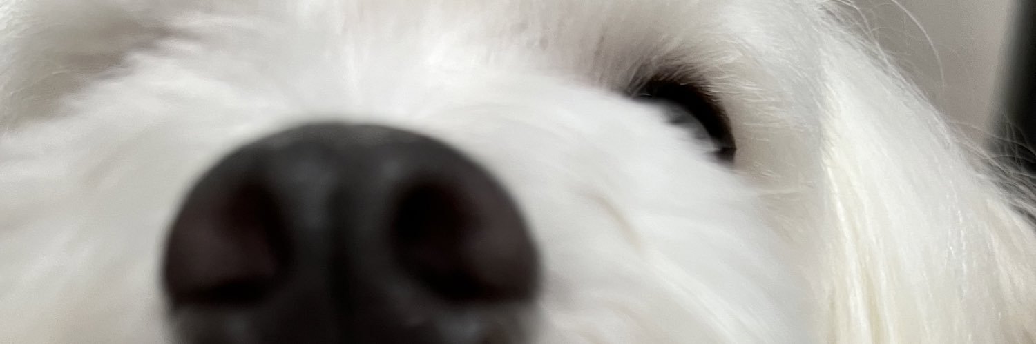 de_Nanase's profile banner image