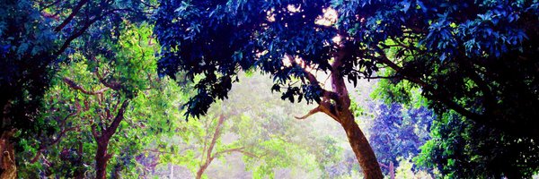 MithuBaidya Profile Banner