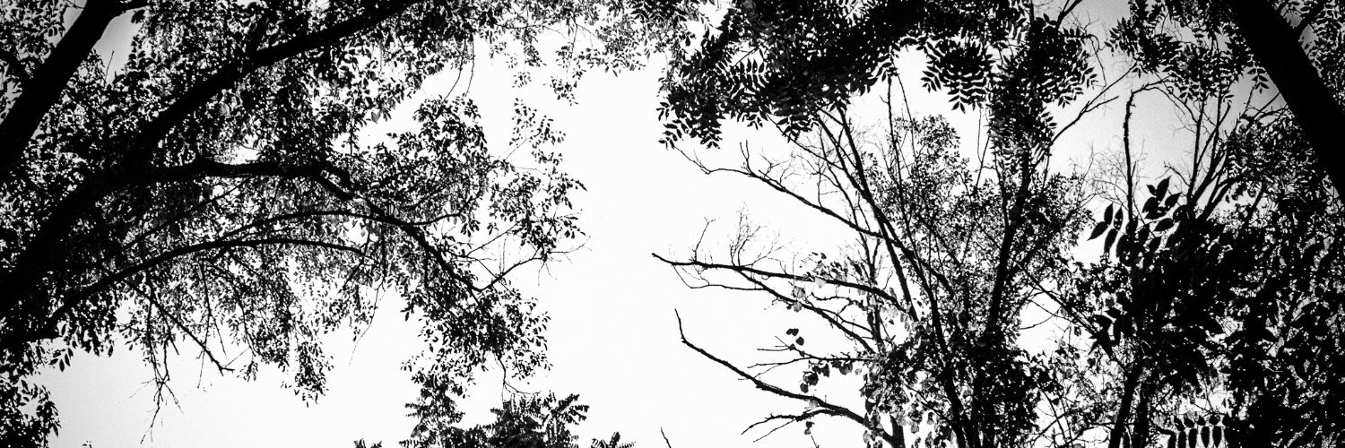 hannah king banner