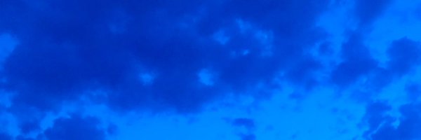 royforestano Profile Banner