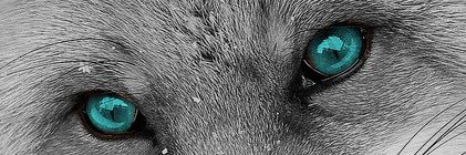 NickCWade's profile banner image