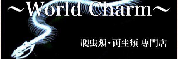 WorldCharm1's profile banner image
