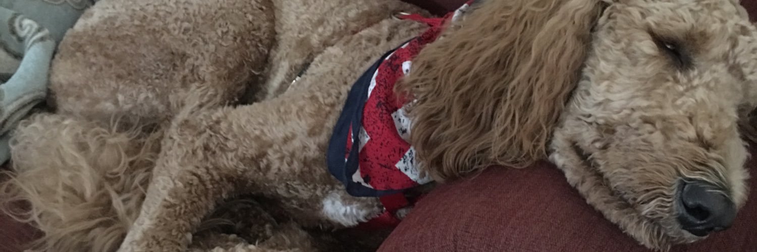 hannah_bentz's profile banner image