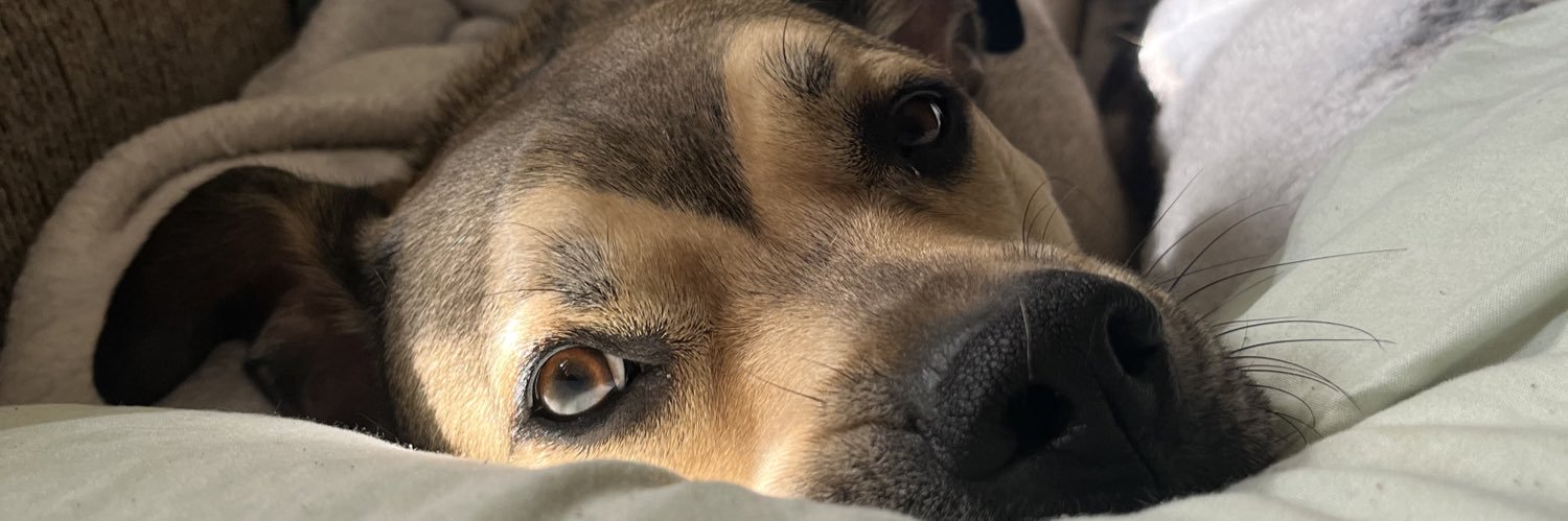 parker_slone's profile banner image