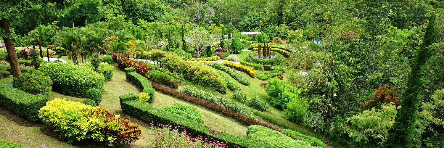 David Harding banner