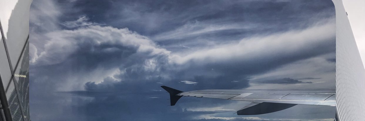 xiaotingderozen's profile banner image