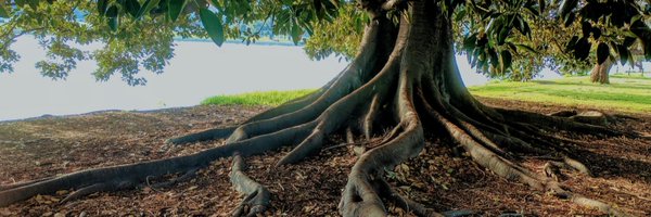 HveyLen Profile Banner