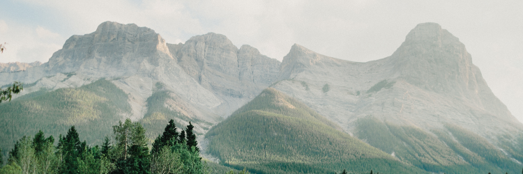 Dreamers + Doers banner