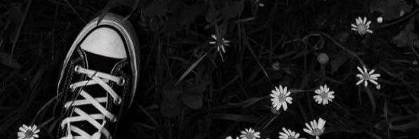 abbybravo's profile banner image