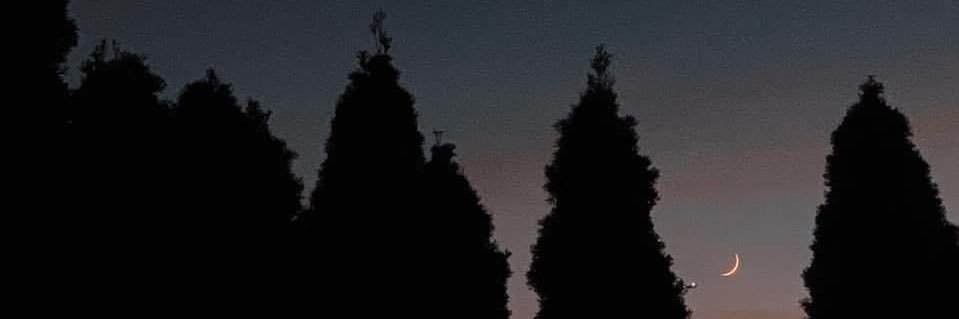 eudrick✫ banner