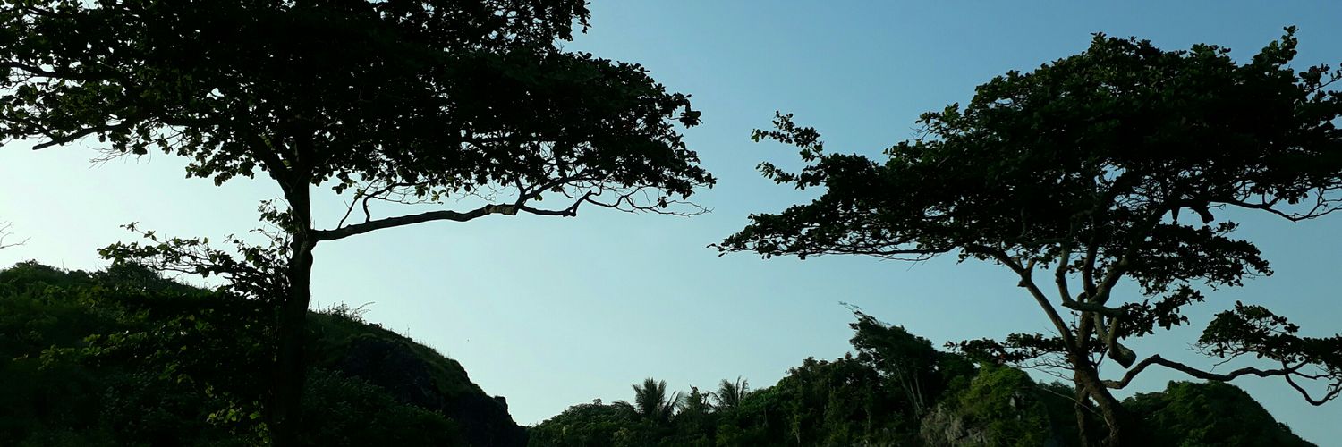 ElizabethGirs's profile banner image