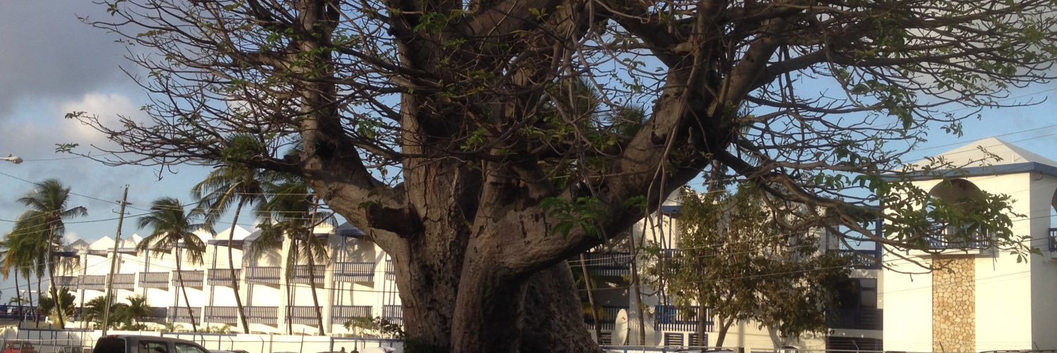 coleridge_t's profile banner image