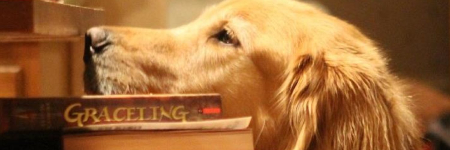 Richie Moretti 🇺🇸 banner