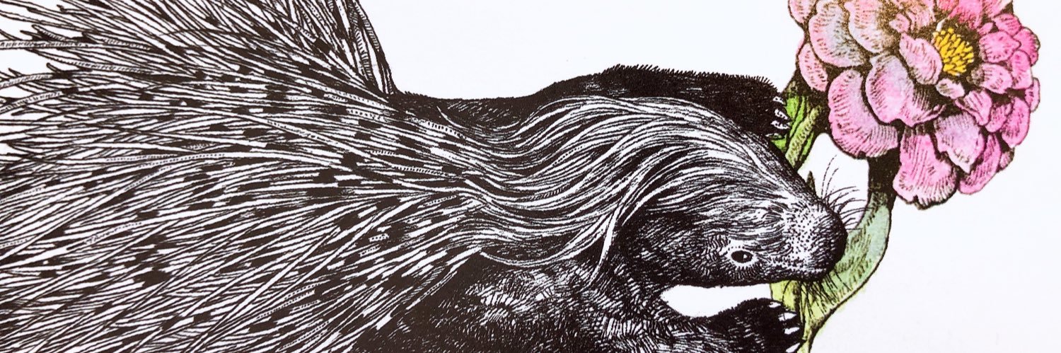 ppikapikap's profile banner image