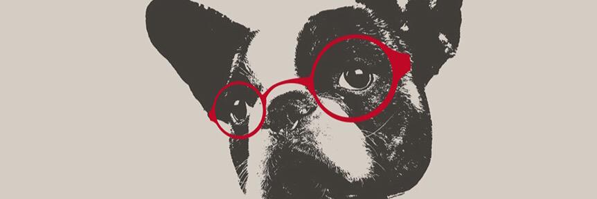 PowellAStefan's profile banner image