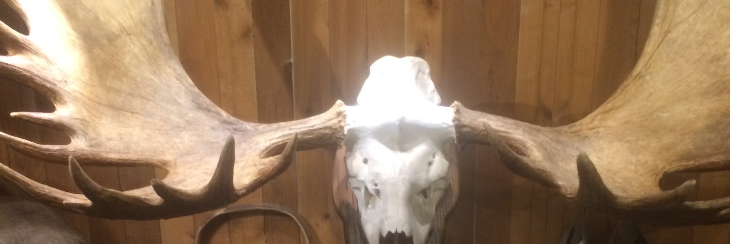 Raised in Alaska's banner