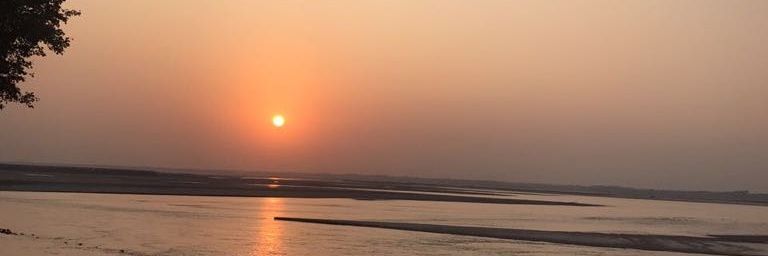 m_daudacca's profile banner image
