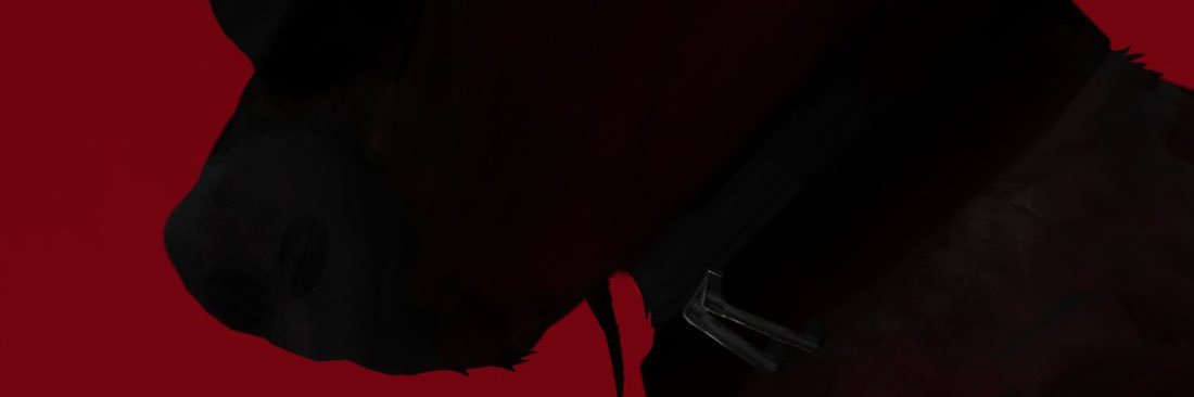 pashmenia's profile banner image
